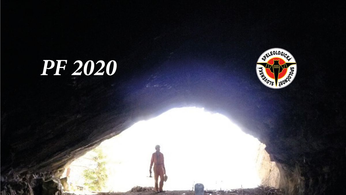 pf2020b